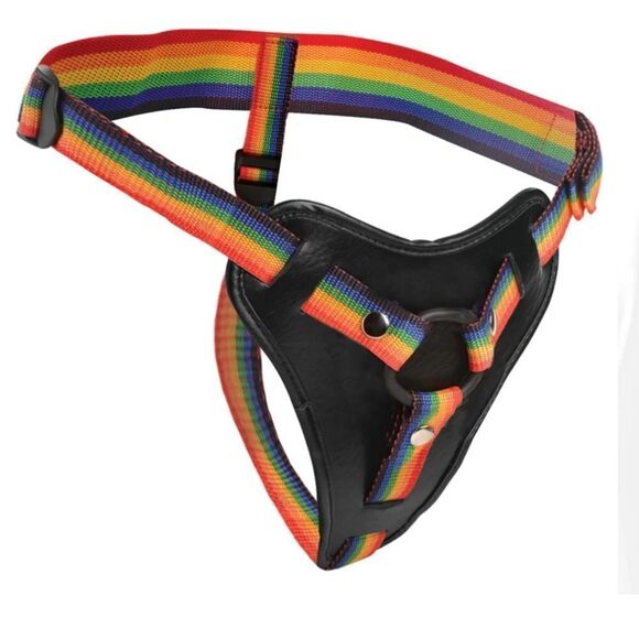 Take The Rainbow Harness - Picture 1 of 7